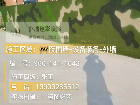 自贡 迷彩漆喷涂价格（按平方米计费）