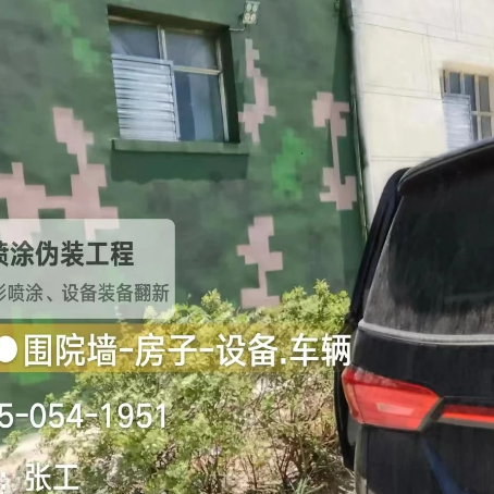 自贡数码迷彩漆施工